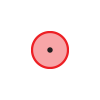 inner ring image
